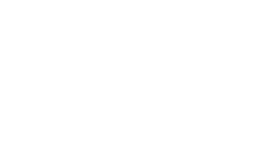 Byryzn Aesthetics Logo